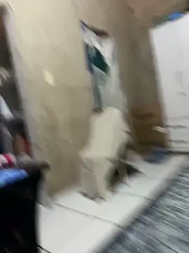 Snapshot of HenriqueH3 chatting on 03.02.26 HenriqueH3 online show from 03.02.26