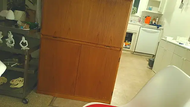 costanza7070 online show from 12.03.25