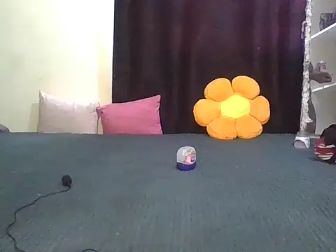 wildnastia online show from 04.06.26