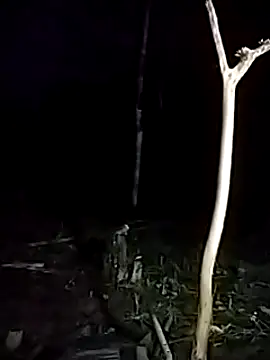 andreu mature online show from 03.17.25