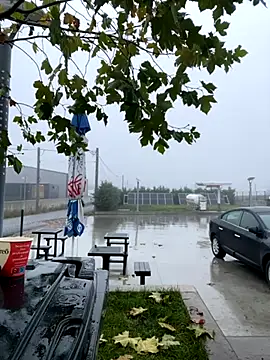 baramadalin online show from 11.21.25