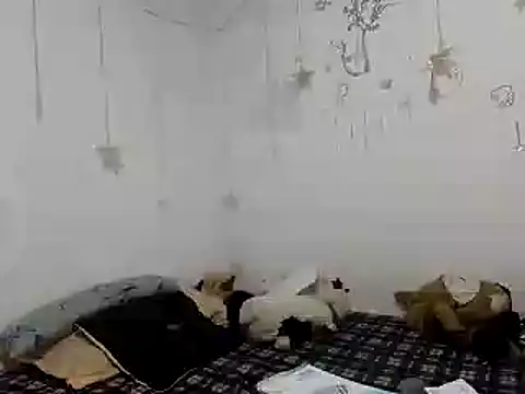 Nissha johosonn online show from 12.13.24