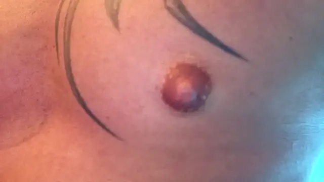 Snapshot of Timbojan28 chatting on 02.11.26 Timbojan28 online show from 02.11.26