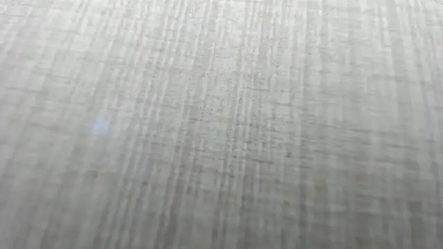 AishaRouhi online show from 12.02.25