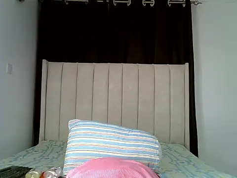 Snapshot of pretty_hearty chatting on 11.30.25 pretty hearty online show from 11.30.25