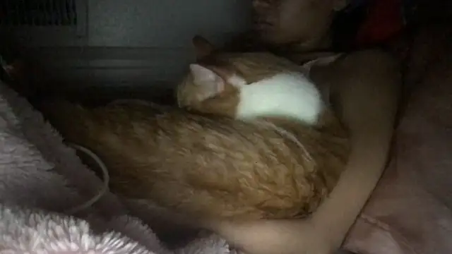 loveofbea online show from 03.08.26