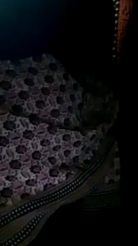 Snapshot of Hotsarina chatting on 12.25.24 Hotsarina online show from 12.25.24