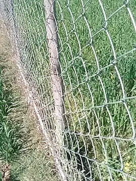 Sweet Dhara online show from 02.12.25