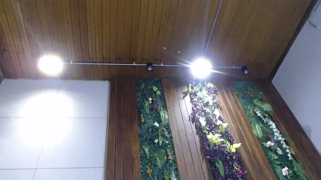 DrakeNeumann online show from 02.05.25