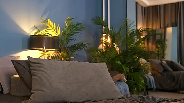  keeti  online show from 11.01.25