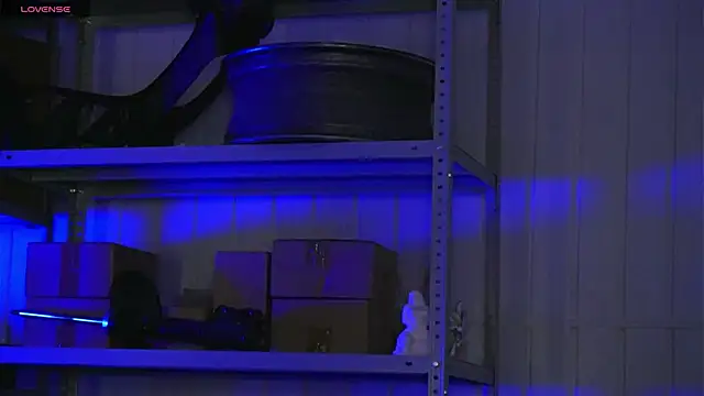 dustyn fox online show from 03.17.26