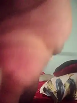 DigCrok online show from 04.08.26