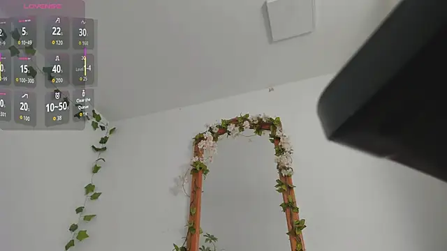 ShegoBlake online show from 04.20.26