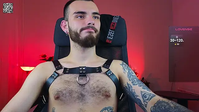 xteddy bear online show from 01.11.25