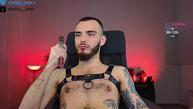 xteddy bear online show from 01.20.25