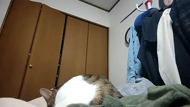07YUKIO online show from 04.24.26
