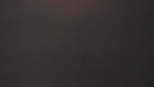 vera candella online show from 02.16.26