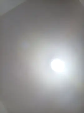 Joagorditahot online show from 11.30.25