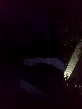 Snapshot of mis312 chatting on 11.18.25 mis312 online show from 11.18.25