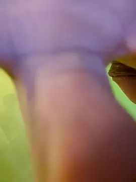 jorwee online show from 01.15.25