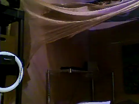 JdLove1 online show from 12.31.24