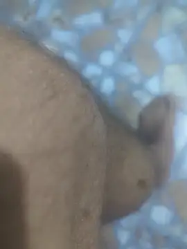 Sunnyboy7897 online show from 03.09.26