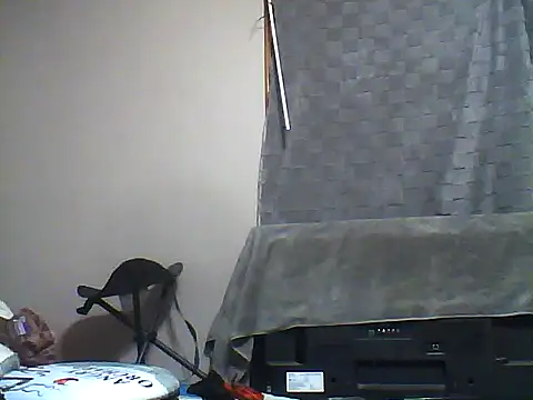 Snapshot of SmokingSloth chatting on 12.05.25 SmokingSloth online show from 12.05.25