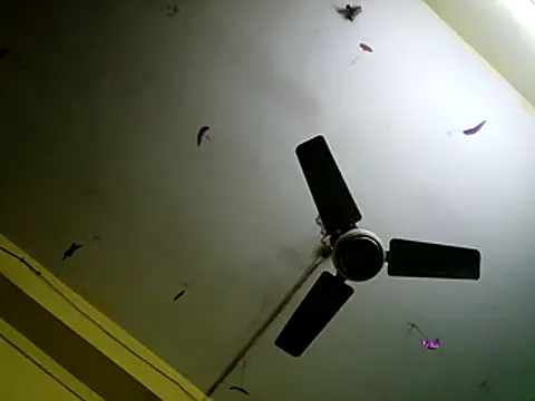 Snapshot of Sexyranibhabhi chatting on 12.14.25 Sexyranibhabhi online show from 12.14.25