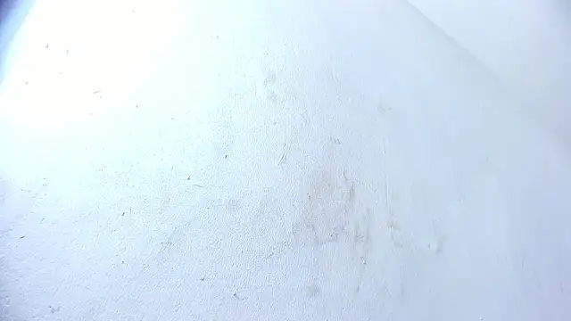 Snapshot of brant_garciabbc chatting on 02.01.25 brant garciabbc online show from 02.01.25