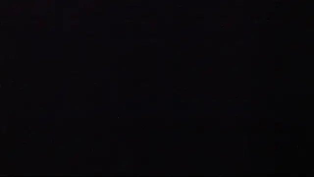 JANER 03 online show from 01.26.25