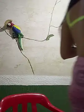 Karla-sexy01 online show from 01.04.25