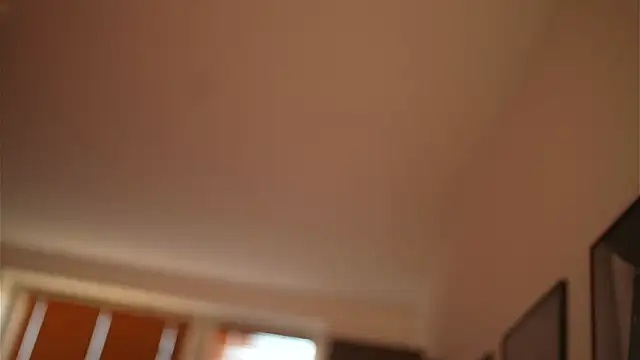 Snapshot of Bellis_Perenis chatting on 12.28.24 Bellis Perenis online show from 12.28.24