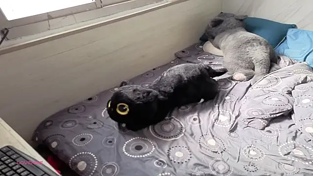 Big19Asia online show from 09.18.25