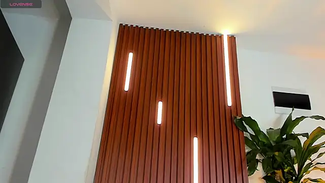 Snapshot of lucasanto_ chatting on 10.23.25 lucasanto online show from 10.23.25