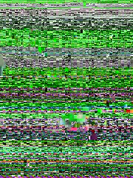 YawlingJingoist online show from 03.19.26