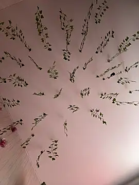 Snapshot of -Sexy_Barbie- chatting on 02.25.25 -Sexy Barbie- online show from 02.25.25