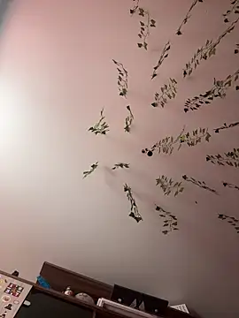 Snapshot of -Sexy_Barbie- chatting on 02.26.25 -Sexy Barbie- online show from 02.26.25