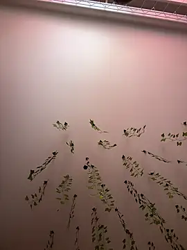 Snapshot of -Sexy_Barbie- chatting on 03.11.25 -Sexy Barbie- online show from 03.11.25