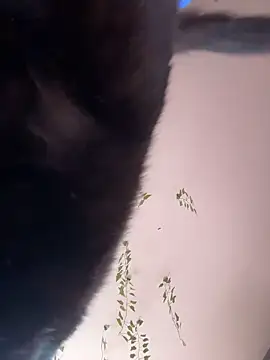 Snapshot of -Sexy_Barbie- chatting on 10.11.25 -Sexy Barbie- online show from 10.11.25