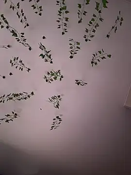 Snapshot of -Sexy_Barbie- chatting on 11.05.25 -Sexy Barbie- online show from 11.05.25