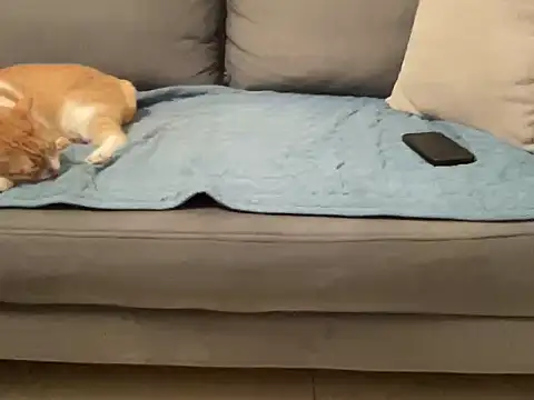 4small4inchlol online show from 11.14.25