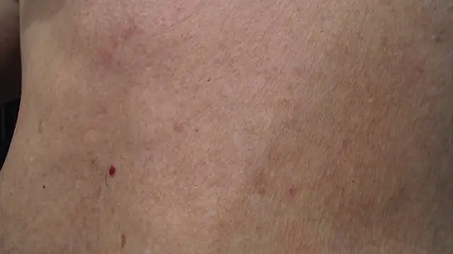 Snapshot of Toy-Daddy chatting on 11.20.25 Toy-Daddy online show from 11.20.25