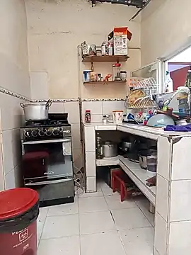 florecita9 online show from 12.12.24