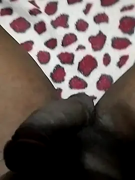 Pua009 online show from 02.26.26