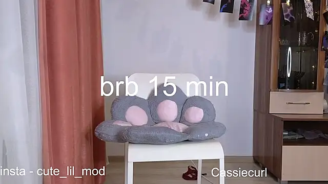 art phoenix online show from 12.01.24