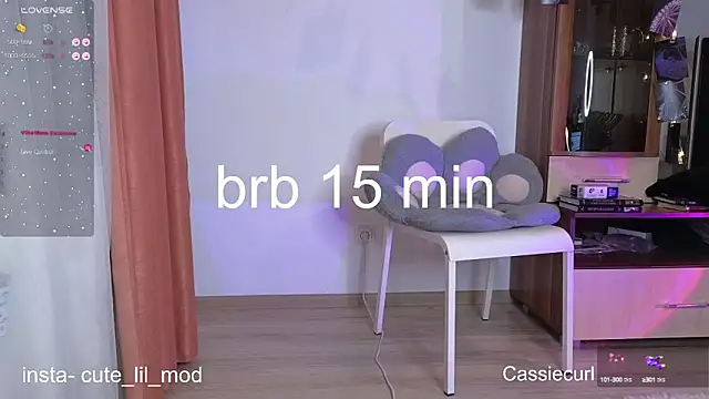 art phoenix online show from 02.28.25