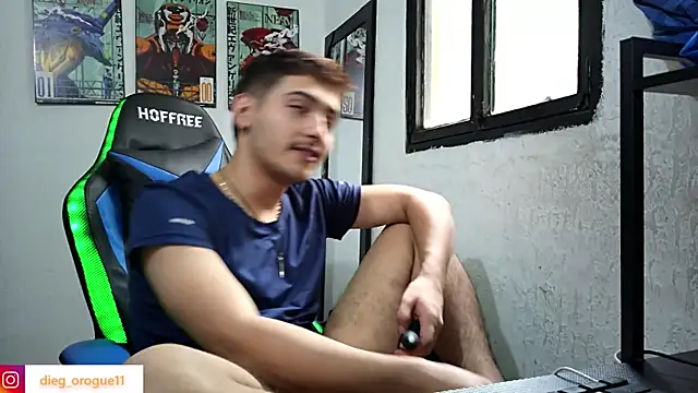 Snapshot of DiegoRogue_ chatting on 02.06.25 DiegoRogue online show from 02.06.25