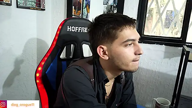 Snapshot of DiegoRogue_ chatting on 03.12.25 DiegoRogue online show from 03.12.25