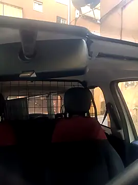 Snapshot of Porco81cazzo chatting on 11.29.25 Porco81cazzo online show from 11.29.25