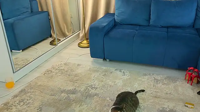 Snapshot of Addictive_T chatting on 02.12.25 Addictive T online show from 02.12.25